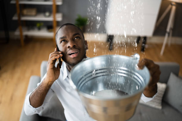 Best Commercial water damage restoration  in Reed City, MI