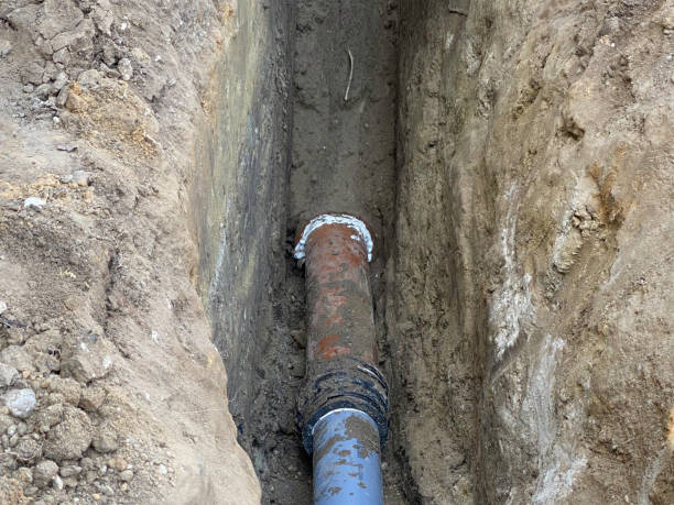 Best Flood damage cleanup  in Reed City, MI