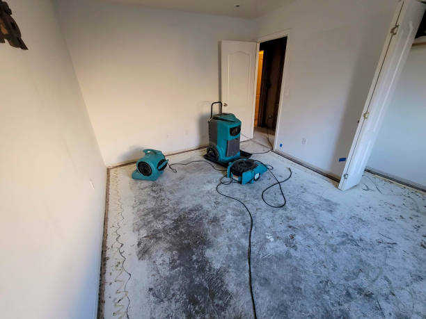 Best Ceiling water damage repair  in Reed City, MI