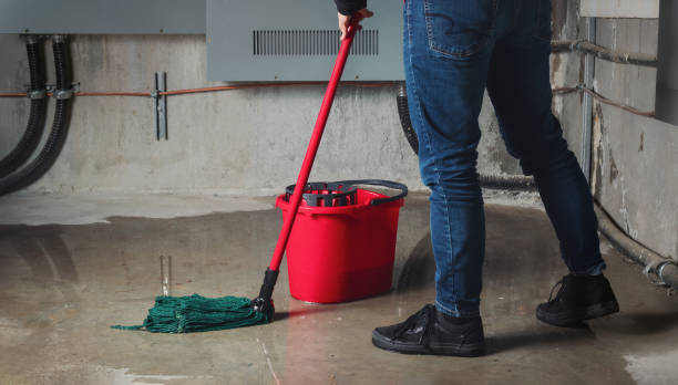 Best Sewage cleanup and water damage restoration  in Reed City, MI