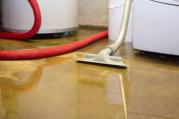 Best Water damage restoration near me  in Reed City, MI