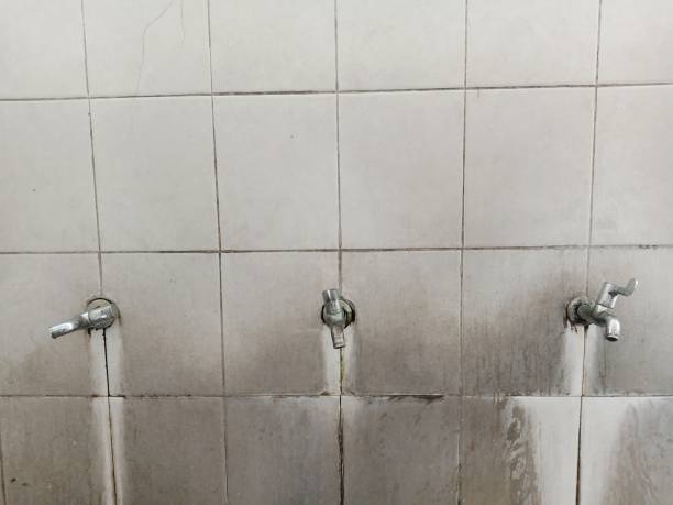 Best Ceiling water damage repair  in Reed City, MI