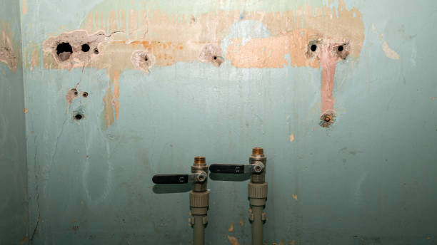 Best Water damage restoration near me  in Reed City, MI