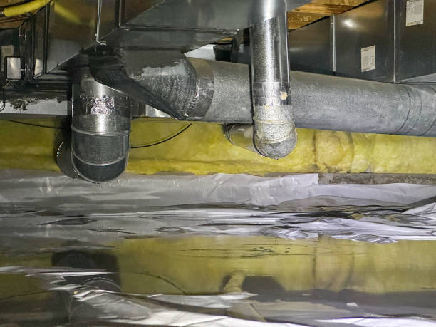Best Emergency water damage restoration  in Reed City, MI