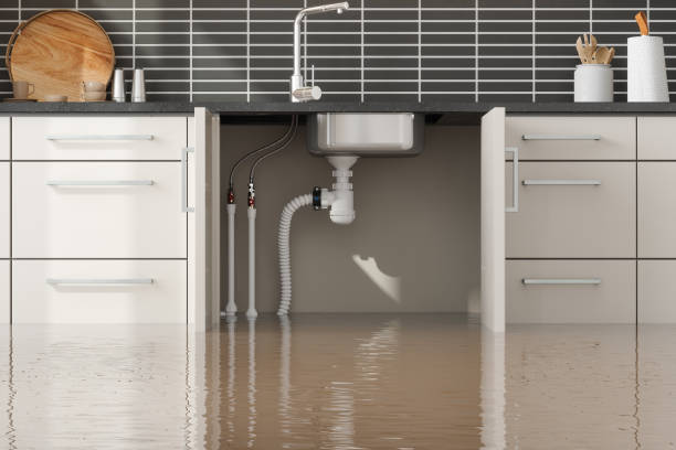 Best Local water damage restoration  in Reed City, MI