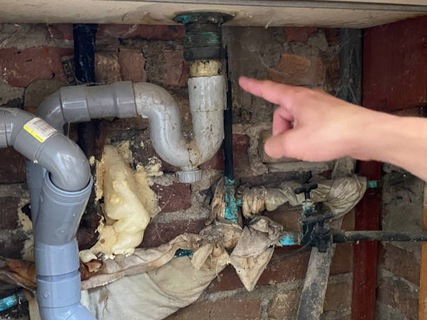 Best Mold removal after water damage  in Reed City, MI