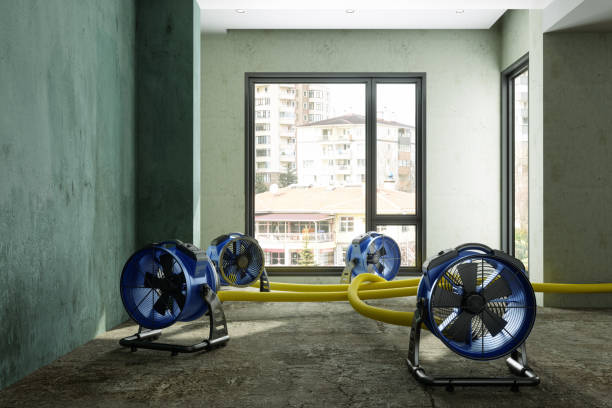 Best Flood restoration services  in Reed City, MI