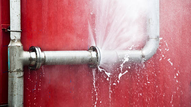 Best Water damage contractors near me  in Reed City, MI